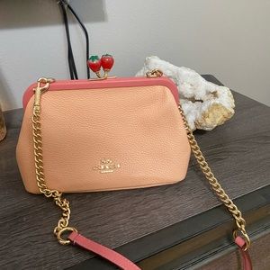 Coach Nora Kisslock Crossbody Clutch With Strawberry